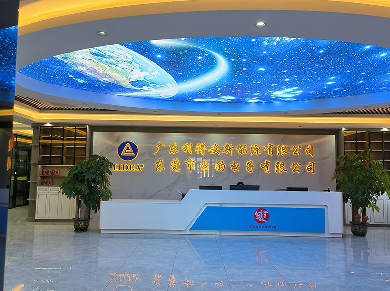 Dongguan Lidea Electronics Co., Ltd.